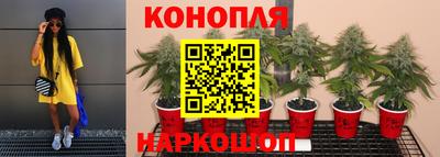 прущие крисы Нягань