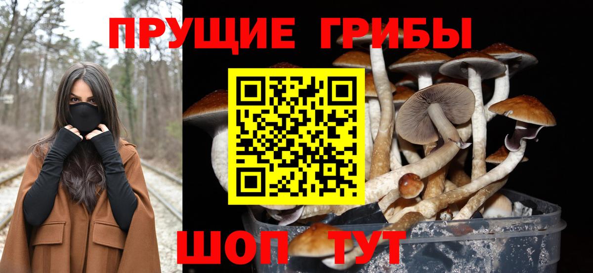 Псилоцибиновые грибы MAGIC MUSHROOMS Ахтубинск