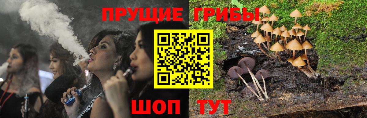 закладка  Галлюциногенные грибы прущие грибы  Псилоцибиновые грибы Magic Shrooms  Вход с VPN  Ахтубинск 